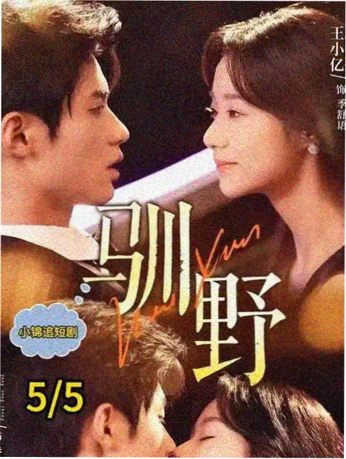 免费看剧平台推荐 第九次日落